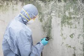 Reliable Colfax, WI Mold Prevention & Removal  Solutions